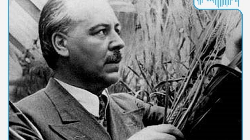 Радио-Сад-Вавилов.jpg