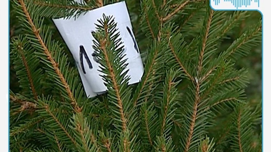 !-TV&RV_plashka-RV.jpg