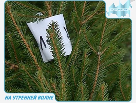 На утренней волне. Эфир от 25.12.2017 Тема: елочные базары и платный участок М-3 