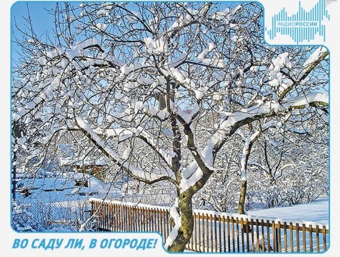 Во саду ли, в огороде! Эфир от 18.01.2018 Тема: зимний уход за садовыми и комнатными растениями