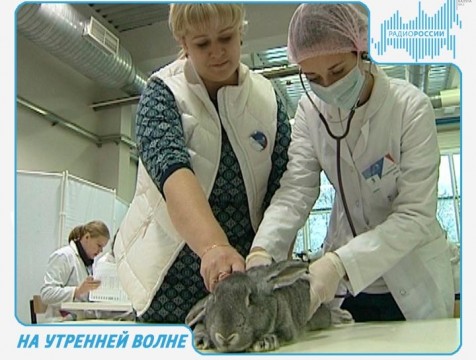 На утренней волне. Эфир от 27.02.2018 Тема: поддержка молодых специалистов