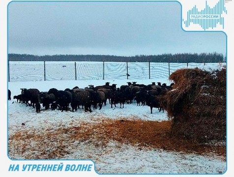 На утренней волне. Эфир от 05.03.2018 Тема: агротуризм в Калужской области