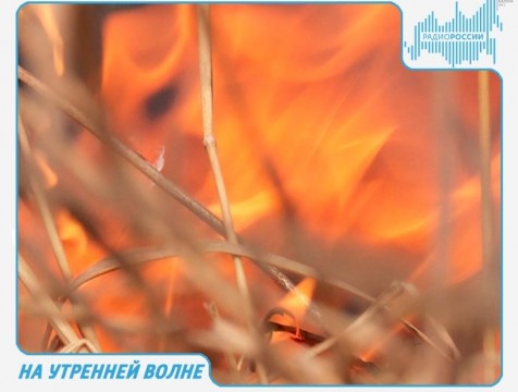 На утренней волне. Эфир от 24.04.2018 Тема: пал травы и штраф за костры