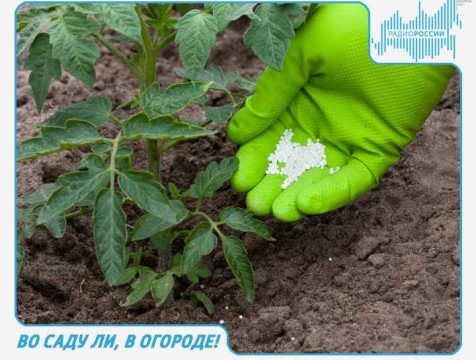Во саду ли, в огороде! Эфир от 22.05.2018 Тема: нормы внесения удобрений