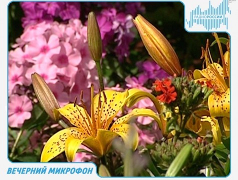 Вечерний микрофон. Эфир от 28.06.2018 Тема: 
