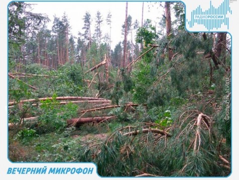 Вечерний микрофон. Эфир от 20.07.2018 Тема: природные бедствия в нацпарках