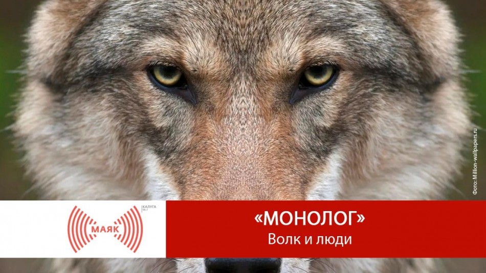 Пост.jpg