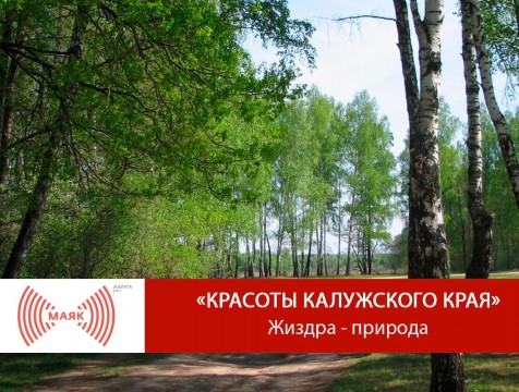 Красоты Калужского края. Жиздра - природа