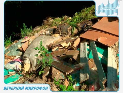 Вечерний микрофон. Эфир от 23.08.2018 Тема: практика Росприроднадзора