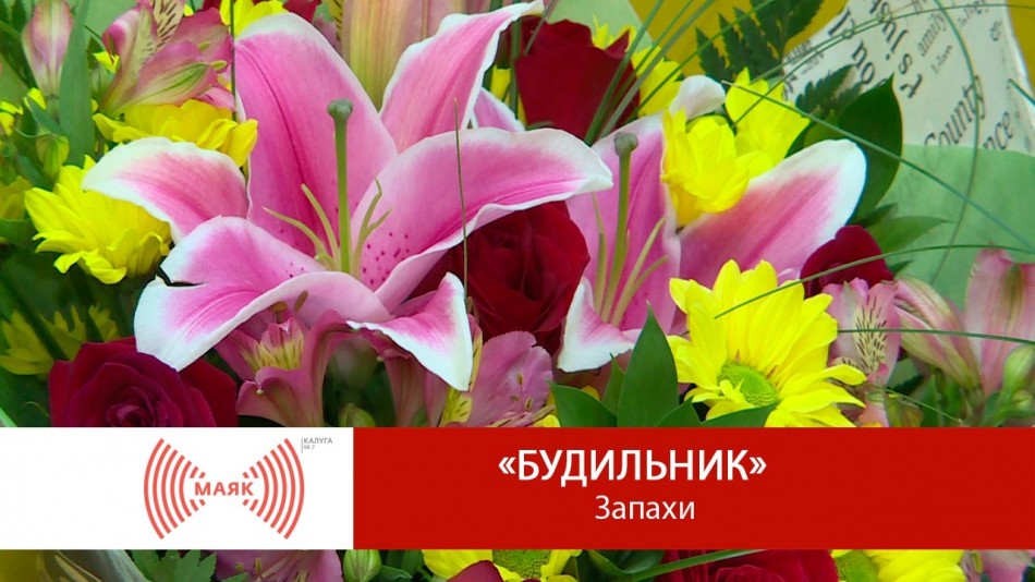 Маяк-Буд0828-169.jpg