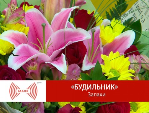 Будильник. Запахи
