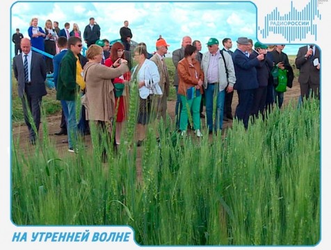 На утренней волне. Эфир от 20.09.2018 Тема: молодые специалисты на селе