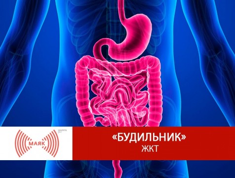 Будильник. ЖКТ
