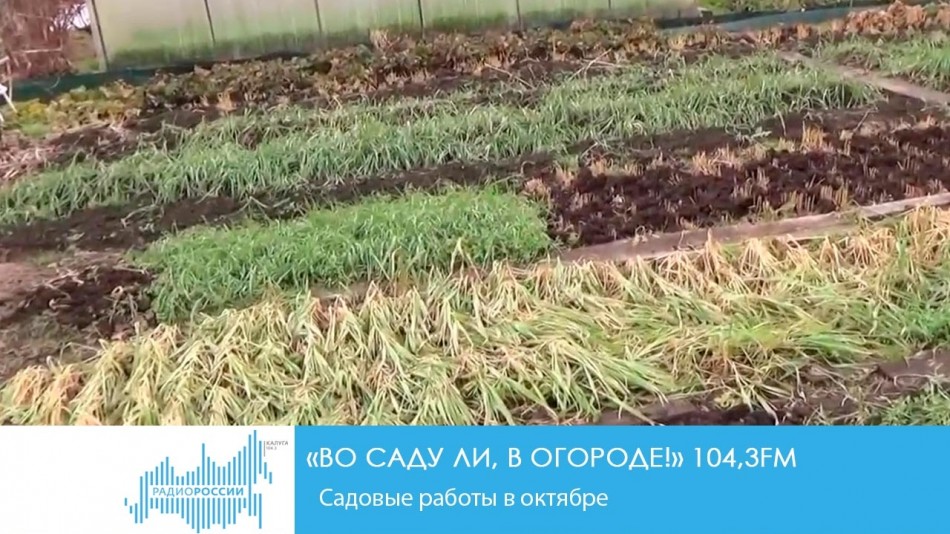 день.jpg