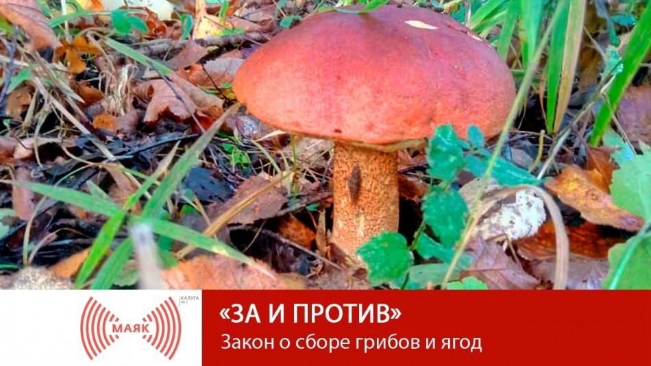 1025-МАЯК-ЗиП.jpg