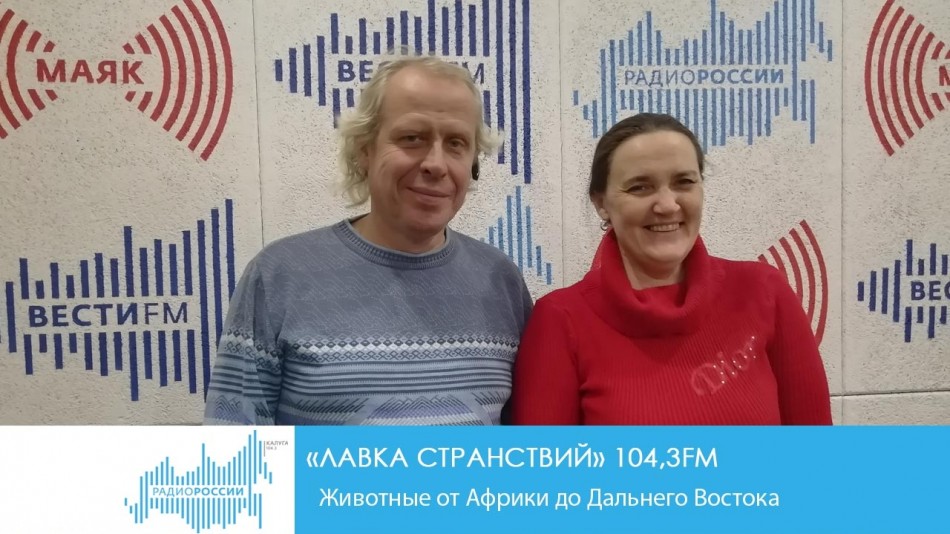 лавка.jpg