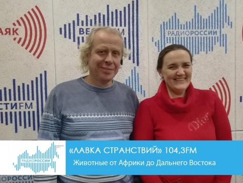 Лавка странствий. Дикие животные от Африки до Дальнего Востока