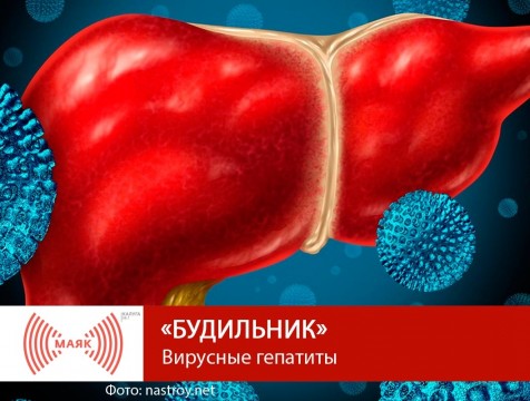 Будильник. Вирусные гепатиты