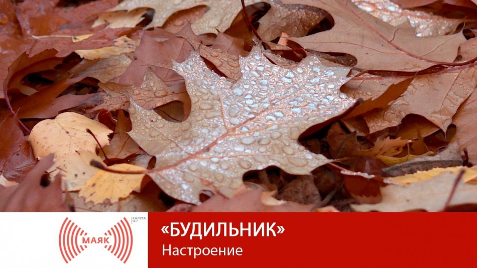 1113-МАЯК-Буд.jpg