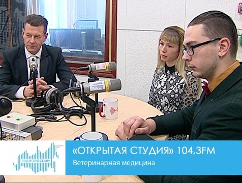 Открытая студия. Ветеринарная медицина
