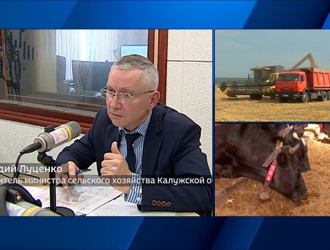 Интервью с Г. Луценко Тема: достижения сельхозпроизводителей региона