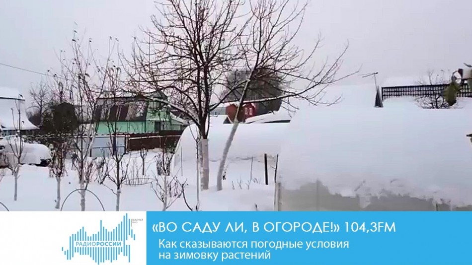 1213-Радио-Сад.jpg