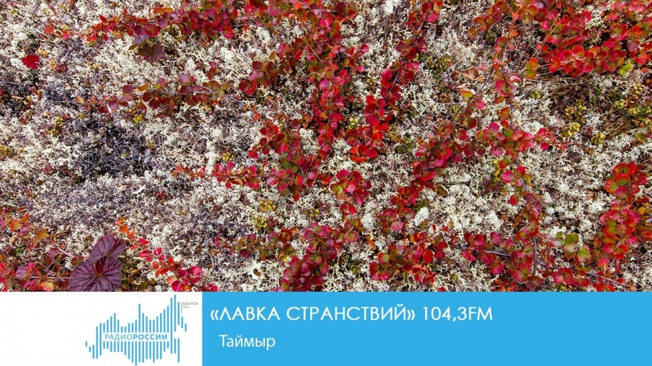 1221-Радио-ЛС6.jpg