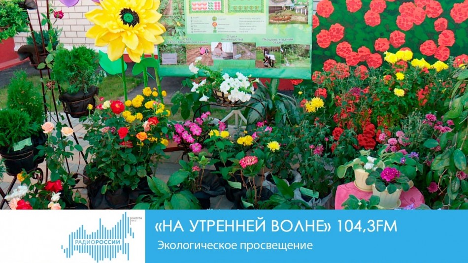 0110-Радио-НУВ.jpg