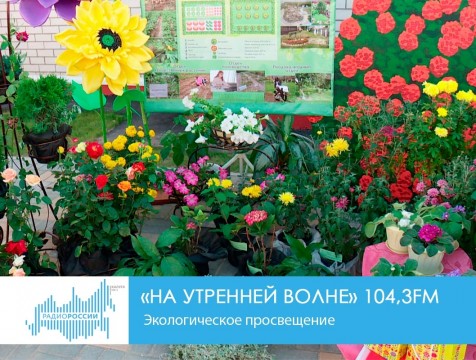 На утренней волне. Экологическое просвещение