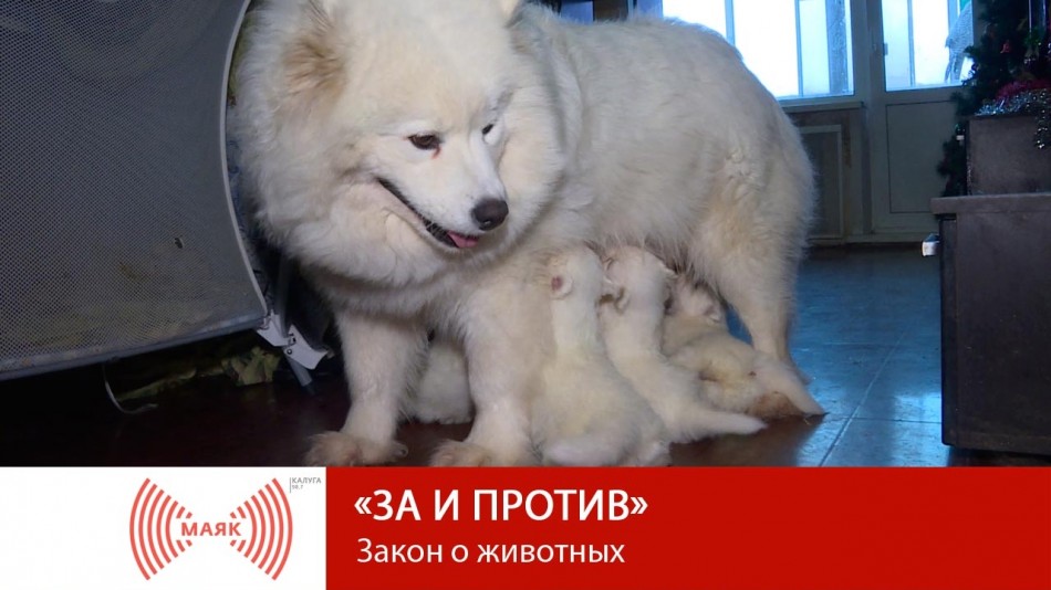 0110-МАЯК-ЗиП.jpg
