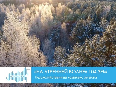 На утренней волне. Лесохозяйственный комплекс региона