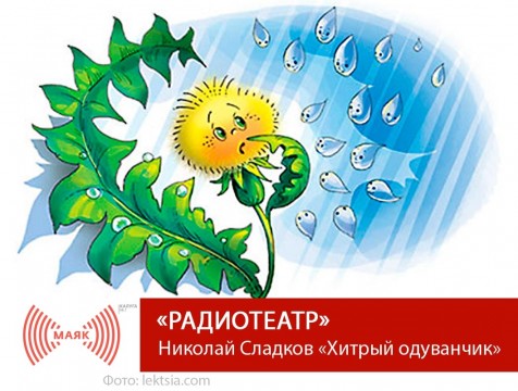 Радиотеатр. Николай Сладков «Хитрый одуванчик»