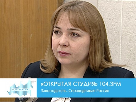 Открытая студия. Законодатель. Справедливая Россия