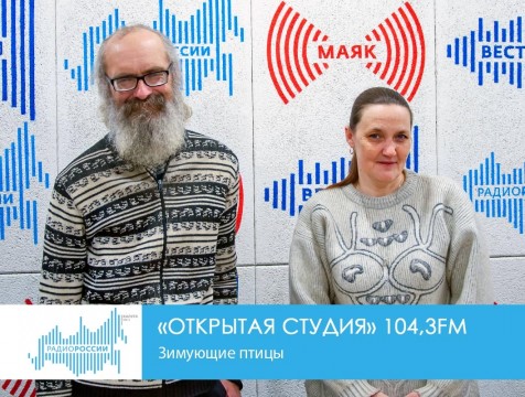 Открытая студия. Зимующие птицы