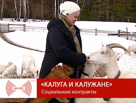 Калуга и калужане. Социальные контракты