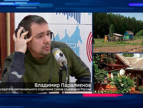 Интервью с В. Паралиеновым. Тема: закон о личных садовых участках