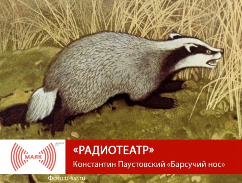 Радиотеатр. Константин Паустовский «Барсучий нос»