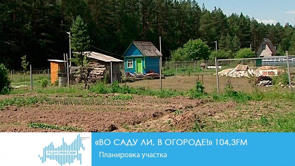 0328-Радио-Сад.jpg