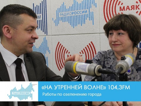 На утренней волне. Работы по озеленению города