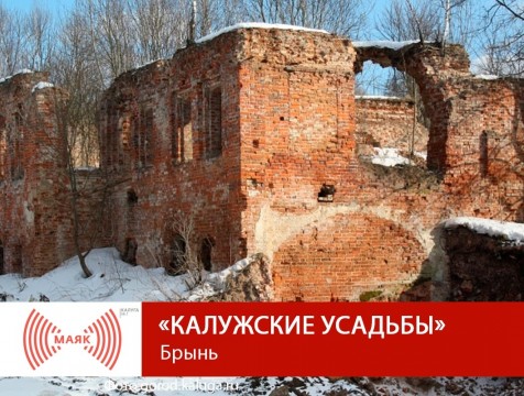 Калужские усадьбы. Брынь - Часть 1