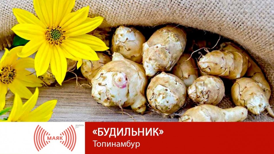 Будильник16.04.jpg
