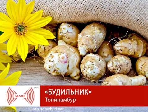 Будильник. Топинамбур
