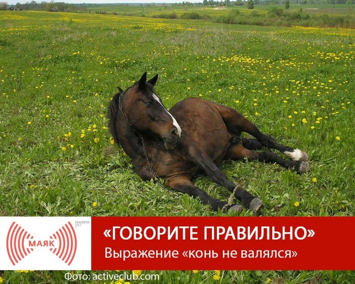 !--МАЯКГП.jpg