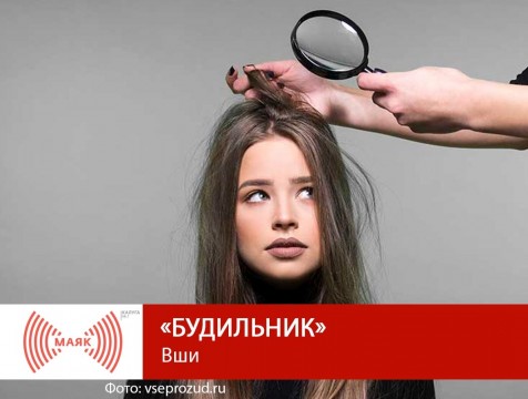 Будильник. Вши