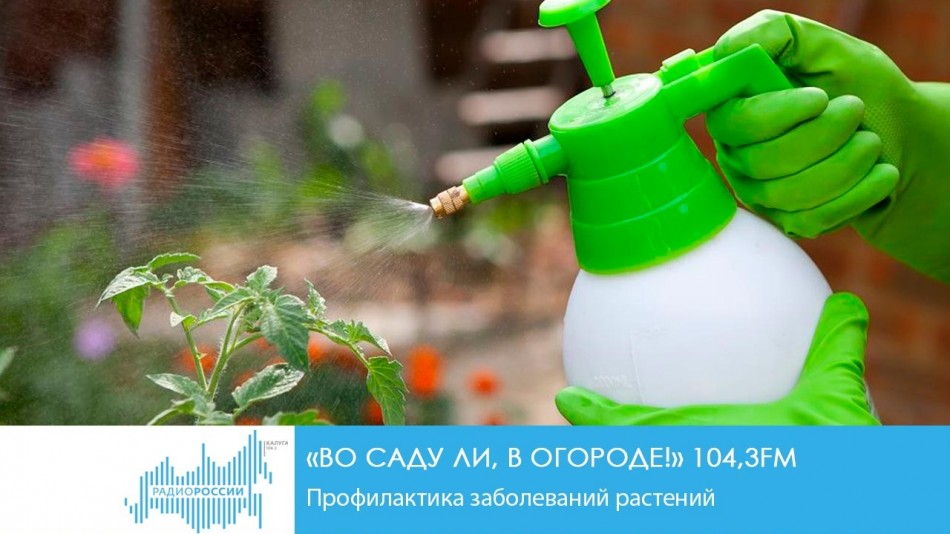 !-РадиоСад.jpg