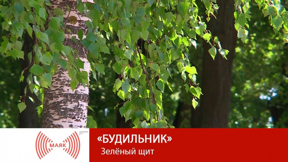 !--МАЯК.jpg