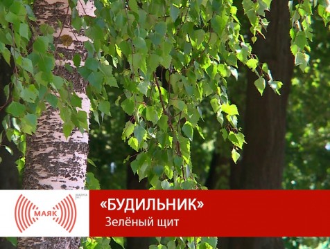 Будильник. Зелёный щит