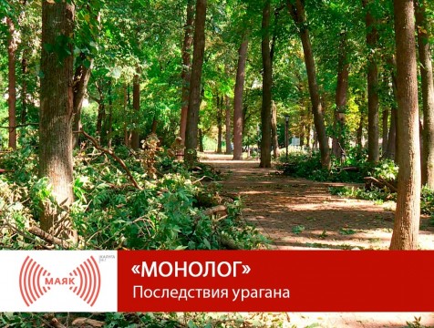 Монолог. Последствия урагана