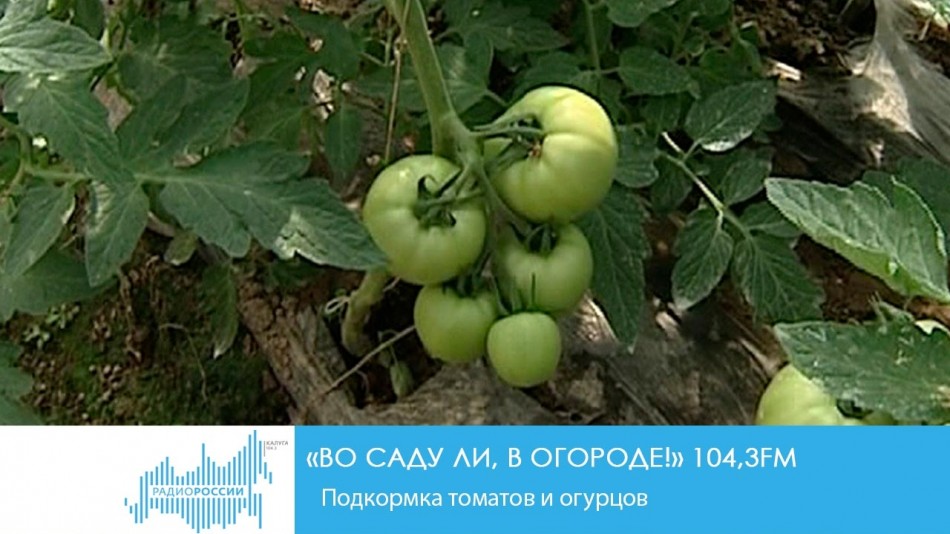 !-Радио.jpg
