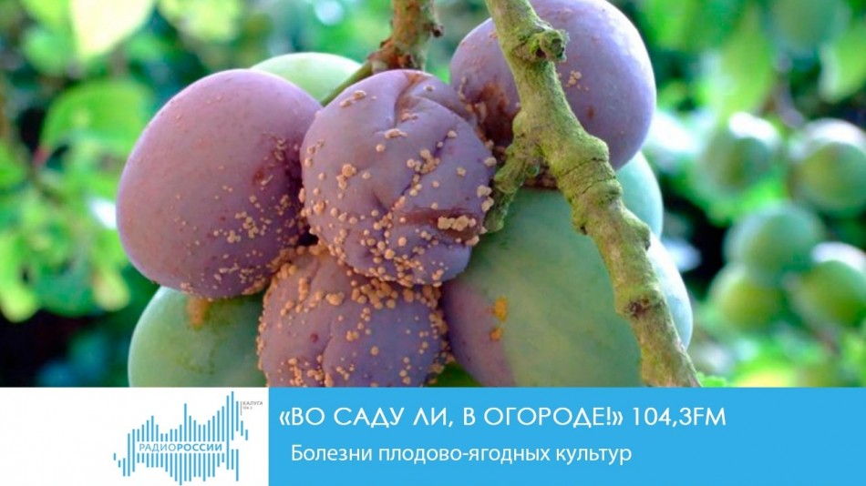 !-Радио.jpg